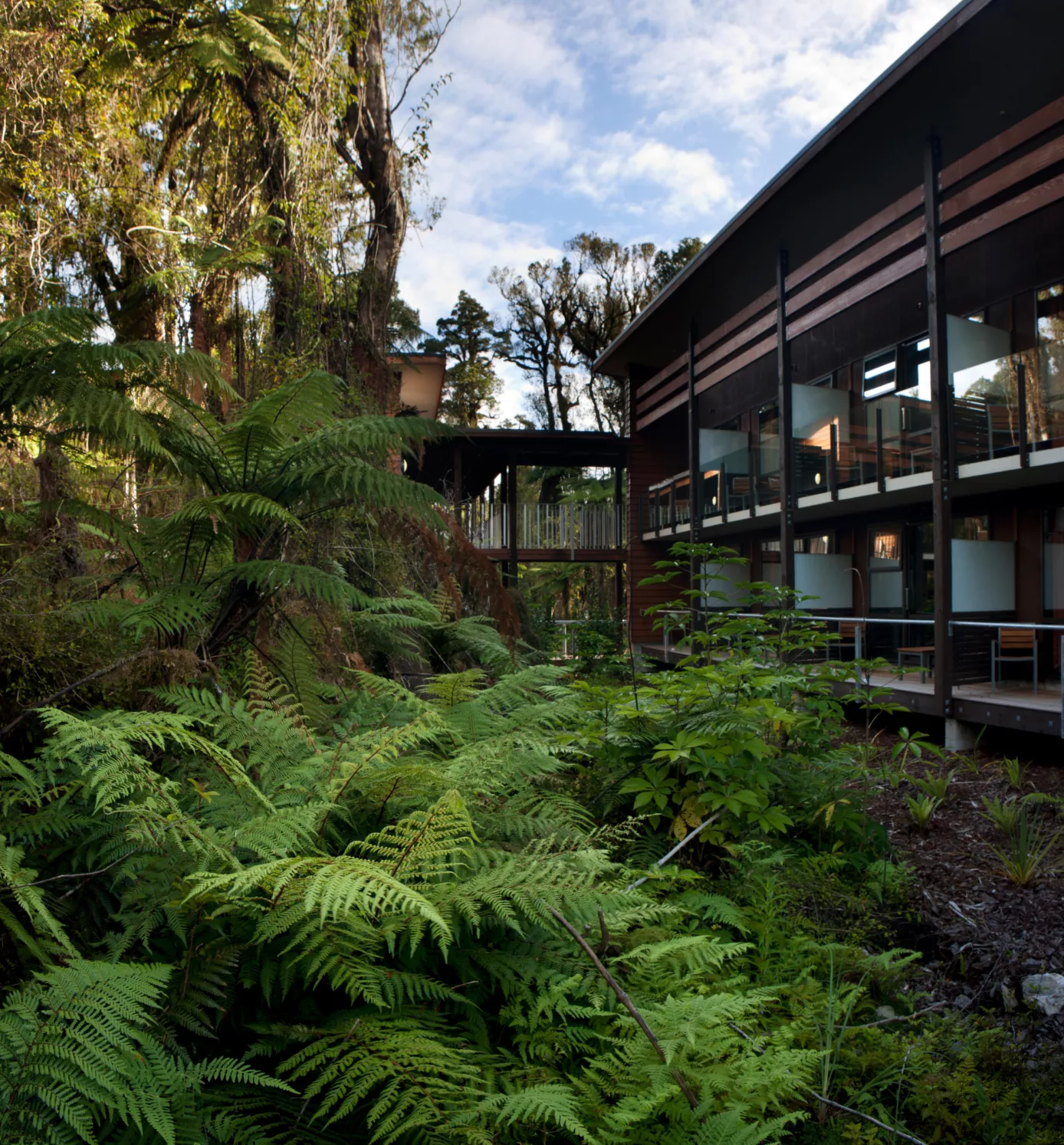 Te Waonui 6